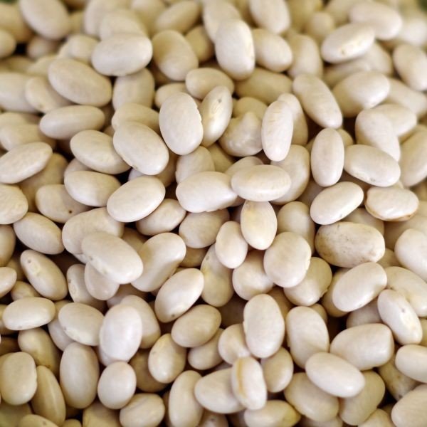 Beans, White Small, Dry