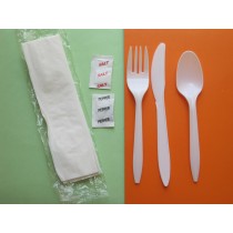 Disposable Fork Knife Spoon