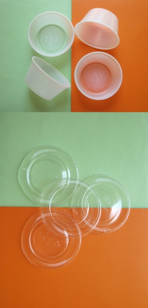 Disposable Containers